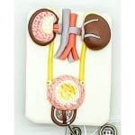 Porta ID Personalizado Urología